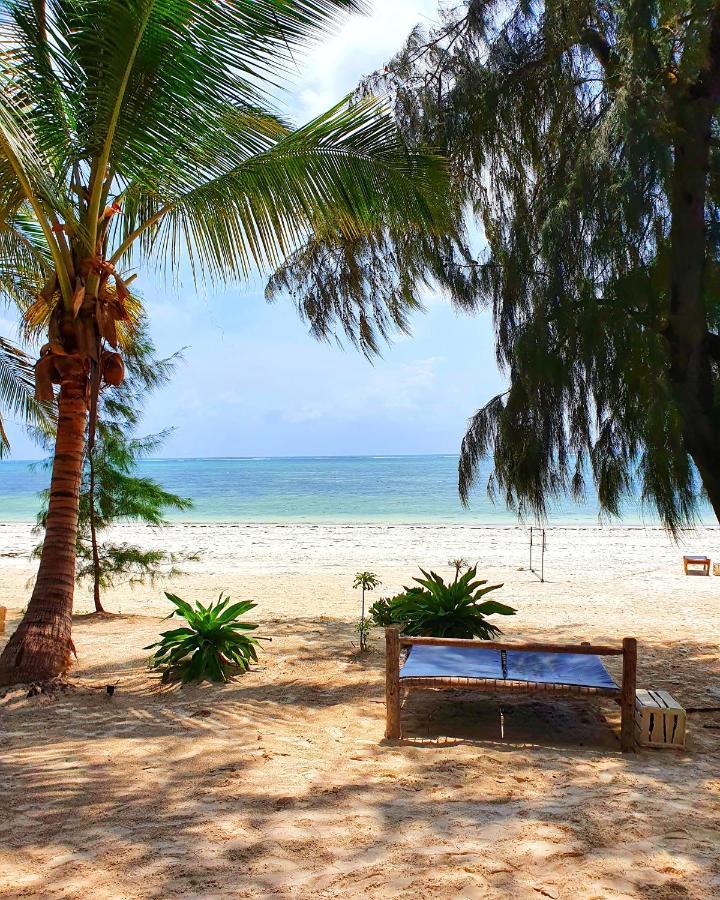 Blue Palm Zanzibar Panzió Bwejuu Kültér fotó