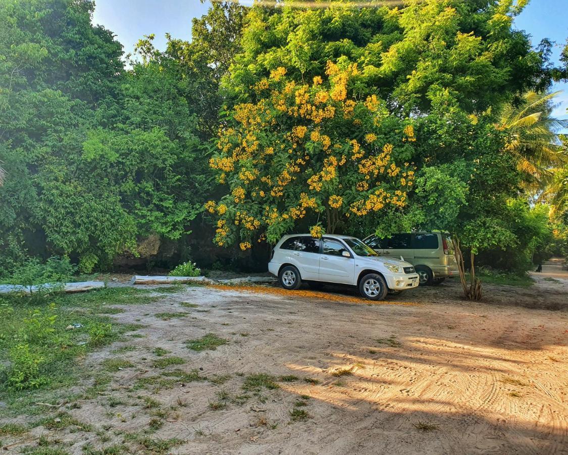 Blue Palm Zanzibar Panzió Bwejuu Kültér fotó