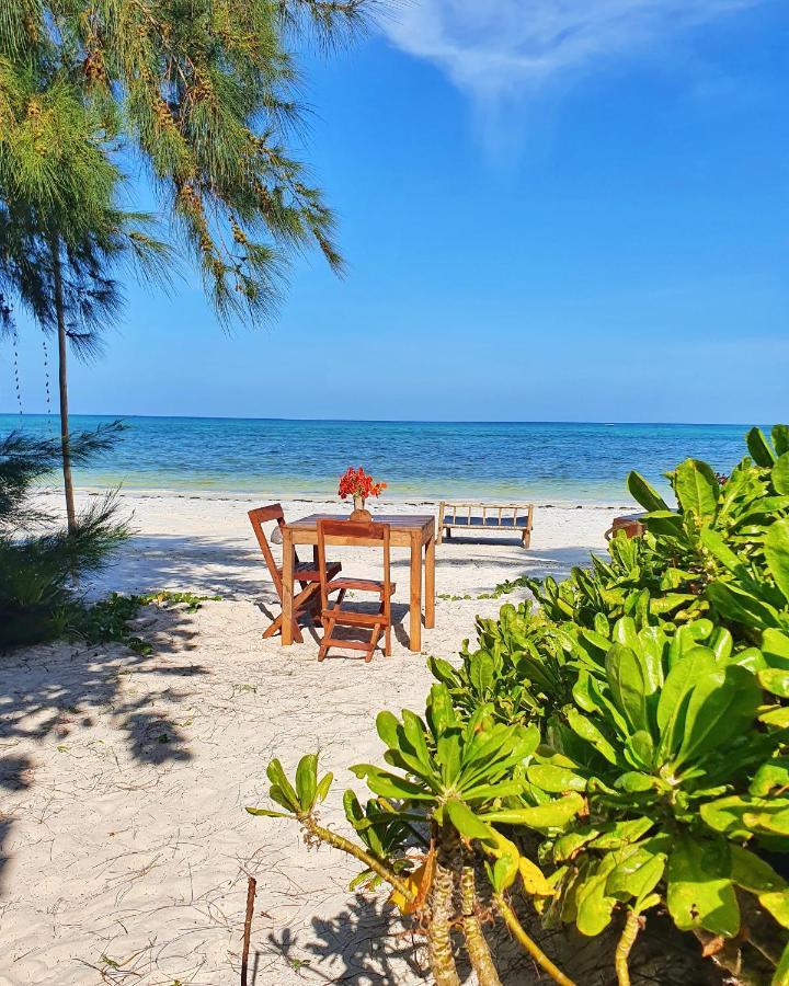 Blue Palm Zanzibar Panzió Bwejuu Kültér fotó