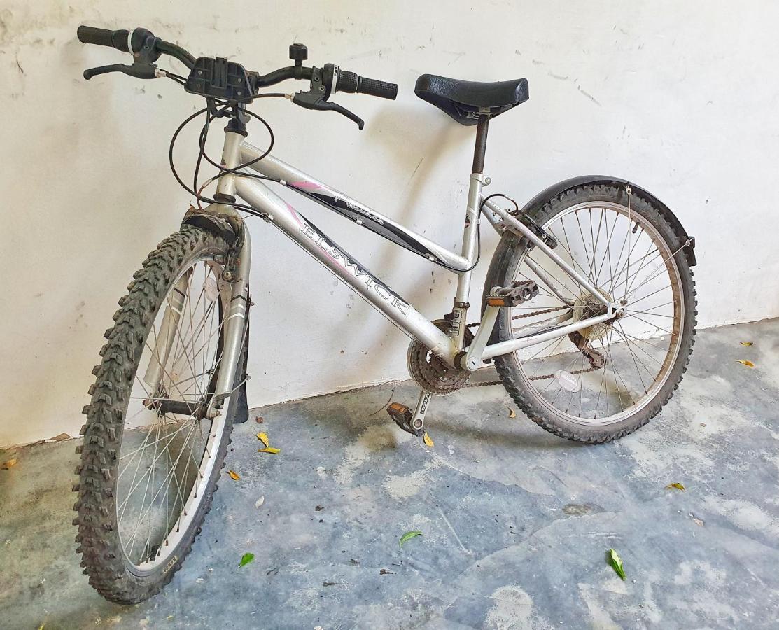 Blue Palm Zanzibar Panzió Bwejuu Kültér fotó