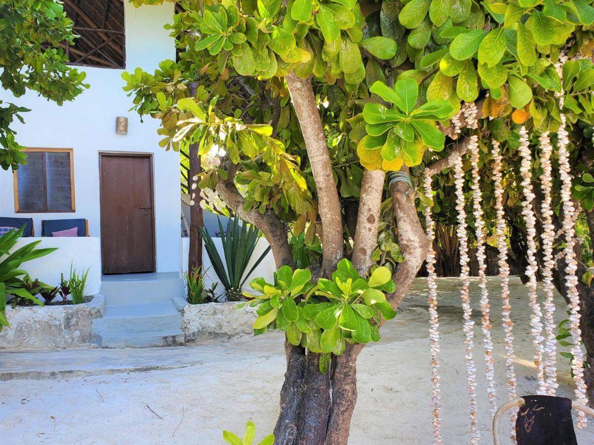 Blue Palm Zanzibar Panzió Bwejuu Kültér fotó
