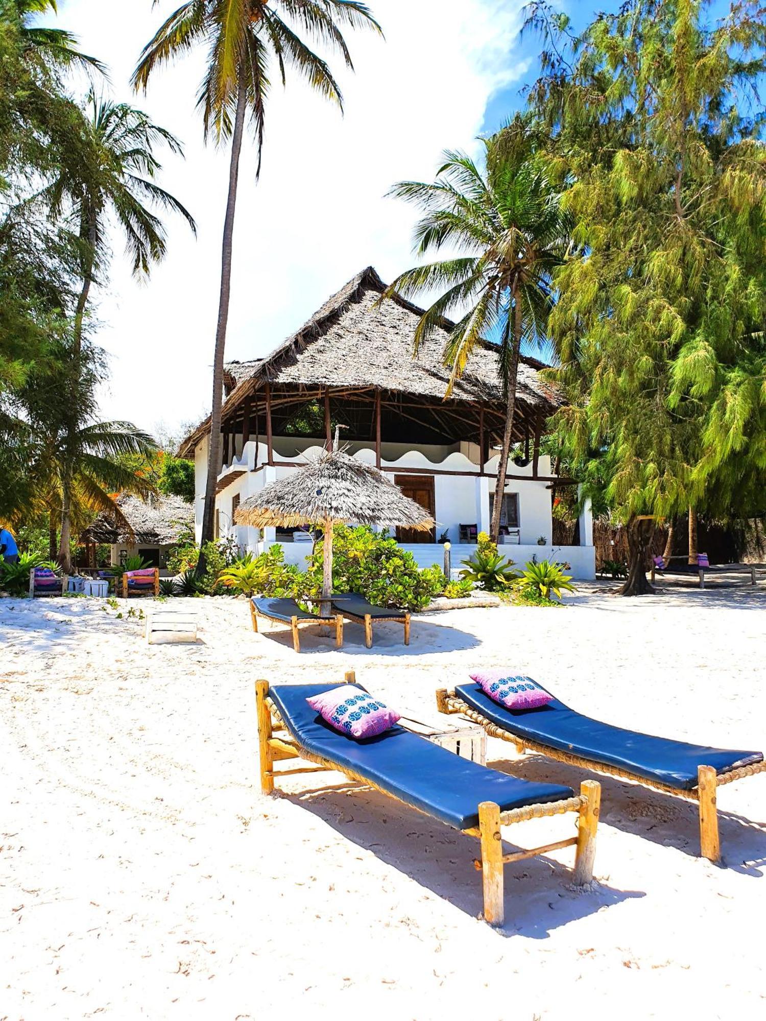 Blue Palm Zanzibar Panzió Bwejuu Kültér fotó